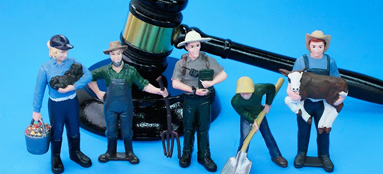 employment lawyer brisbane