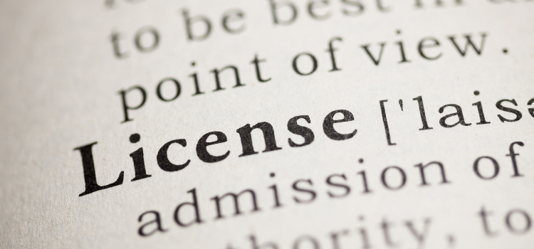 license meaning in dictionary